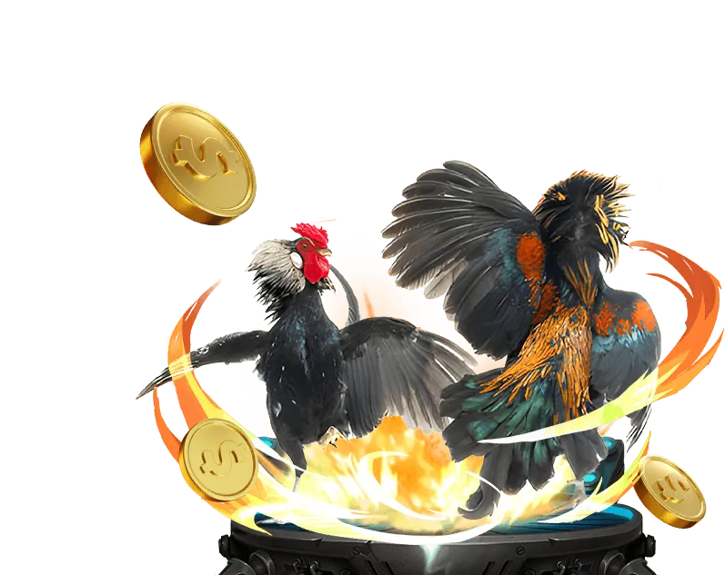 Lợi ích chương trình VIP 555win